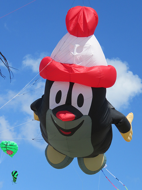 Kite