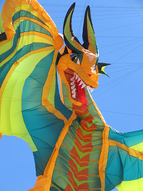 Dragon kite