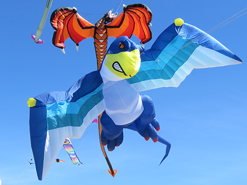Child with dog kite