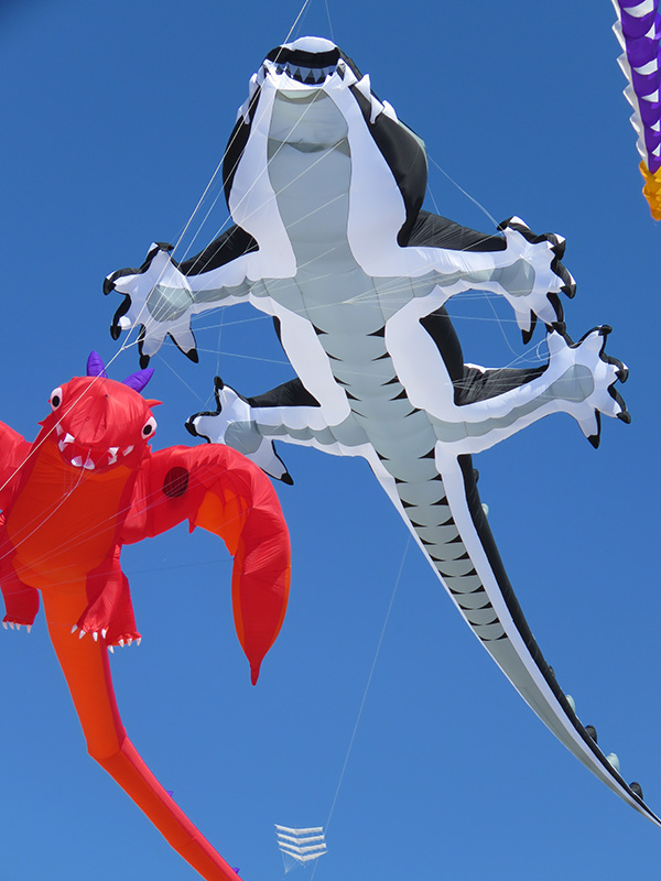 Gecko kite
