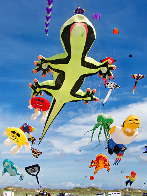 Fox Kite