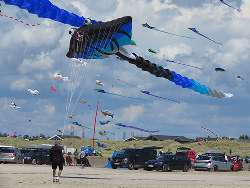 Kite image