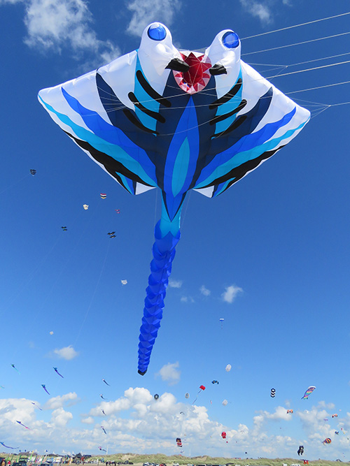 Manta Ray Kite