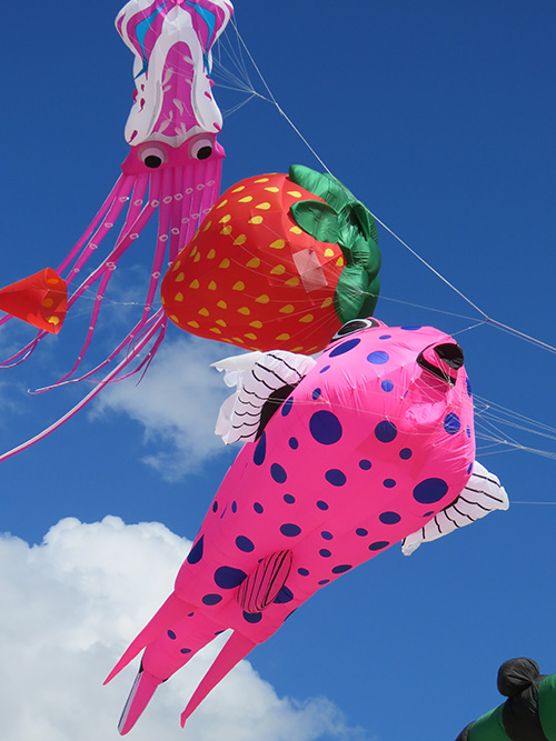 Strawberry Kite