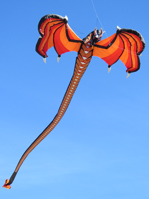 Dragon kite